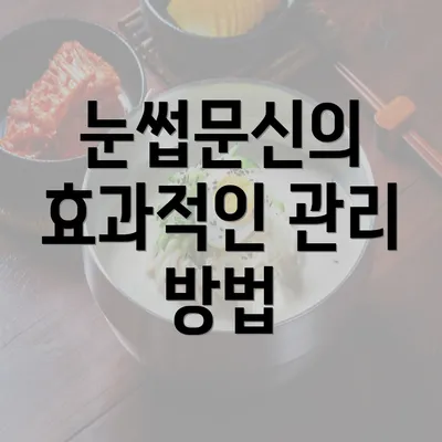 눈썹문신의 효과적인 관리 방법