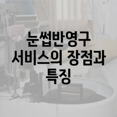 눈썹반영구 서비스의 장점과 특징