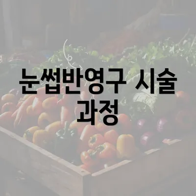 눈썹반영구 시술 과정