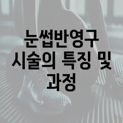 눈썹반영구 시술의 특징 및 과정