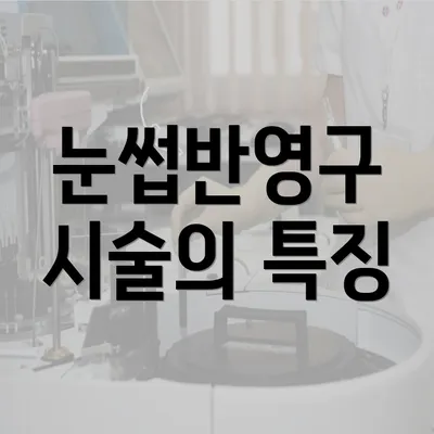 눈썹반영구 시술의 특징