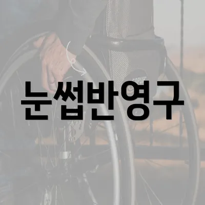 눈썹반영구