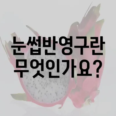 눈썹반영구란 무엇인가요?