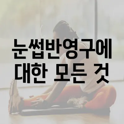 눈썹반영구에 대한 모든 것