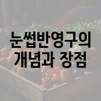 눈썹반영구의 개념과 장점