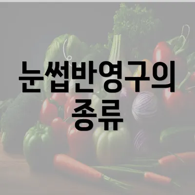 눈썹반영구의 종류