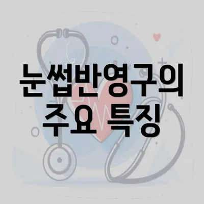 눈썹반영구의 주요 특징