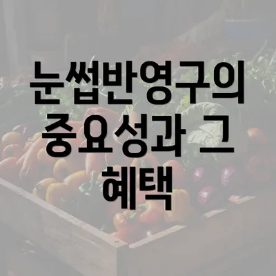 눈썹반영구의 중요성과 그 혜택