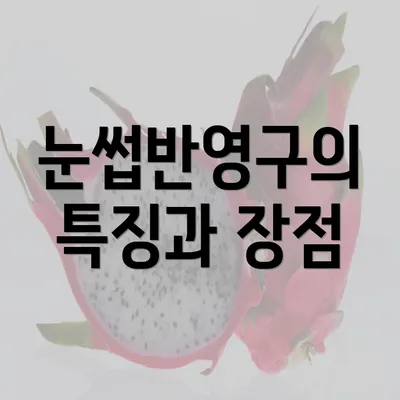 눈썹반영구의 특징과 장점