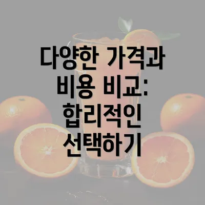 다양한 가격과 비용 비교: 합리적인 선택하기