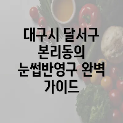 대구시 달서구 본리동의 눈썹반영구 완벽 가이드