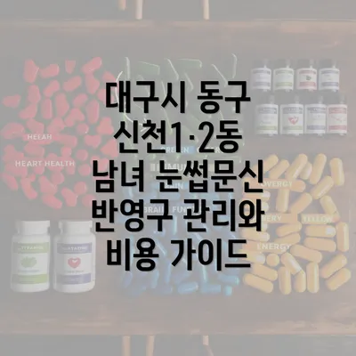 대구시 동구 신천1·2동 남녀 눈썹문신 반영구 관리와 비용 가이드