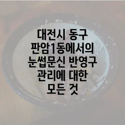 대전시 동구 판암1동에서의 눈썹문신 반영구 관리에 대한 모든 것