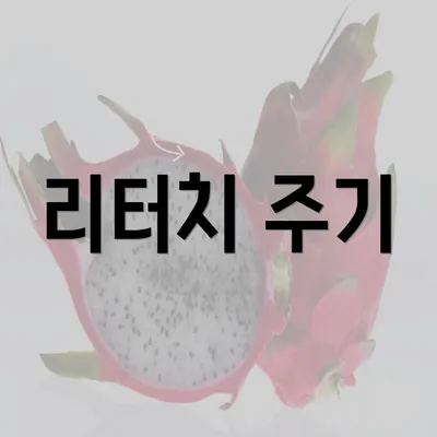 리터치 주기