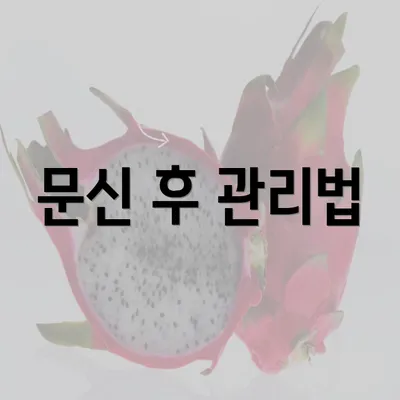 문신 후 관리법