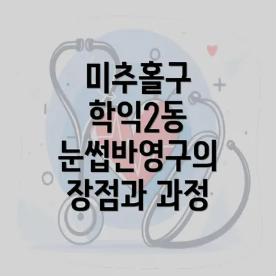 미추홀구 학익2동 눈썹반영구의 장점과 과정