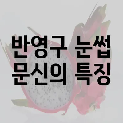 반영구 눈썹 문신의 특징