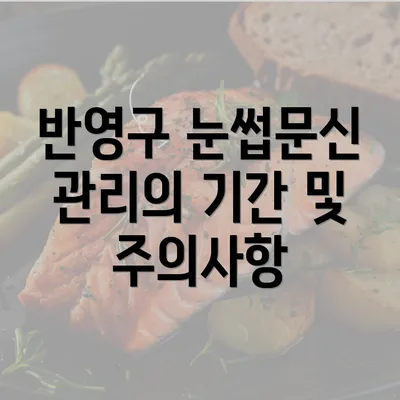 반영구 눈썹문신 관리의 기간 및 주의사항