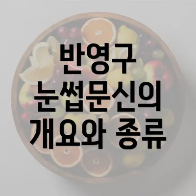 반영구 눈썹문신의 개요와 종류