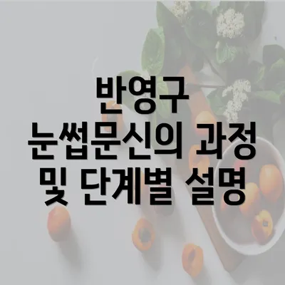 반영구 눈썹문신의 과정 및 단계별 설명