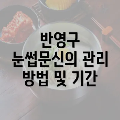 반영구 눈썹문신의 관리 방법 및 기간