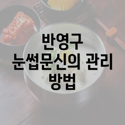 반영구 눈썹문신의 관리 방법