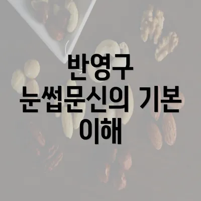 반영구 눈썹문신의 기본 이해