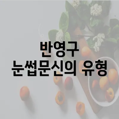 반영구 눈썹문신의 유형