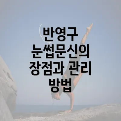 반영구 눈썹문신의 장점과 관리 방법