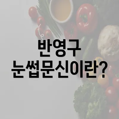 반영구 눈썹문신이란?