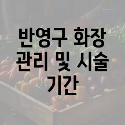 반영구 화장 관리 및 시술 기간