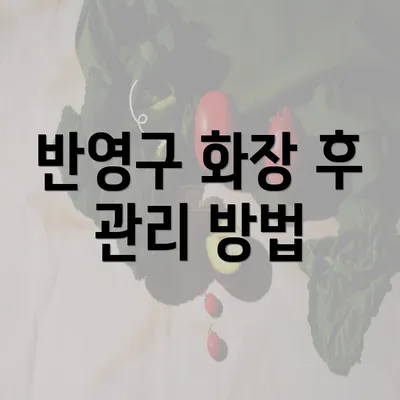 반영구 화장 후 관리 방법