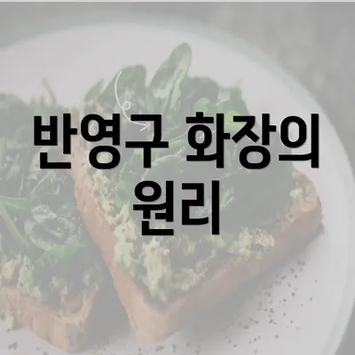 반영구 화장의 원리