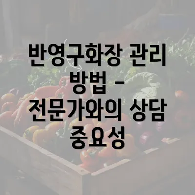 반영구화장 관리 방법 - 전문가와의 상담 중요성