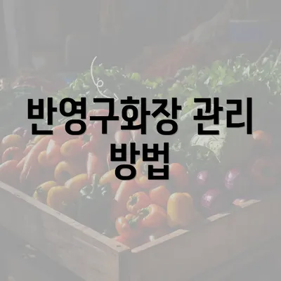 반영구화장 관리 방법