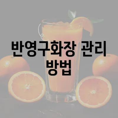 반영구화장 관리 방법