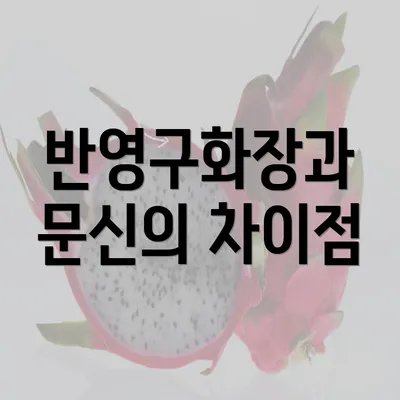 반영구화장과 문신의 차이점