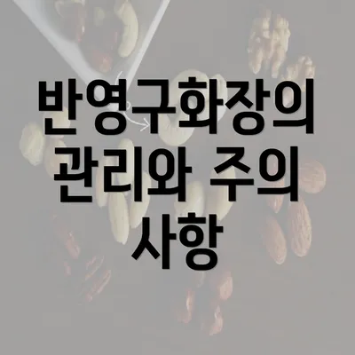 반영구화장의 관리와 주의 사항