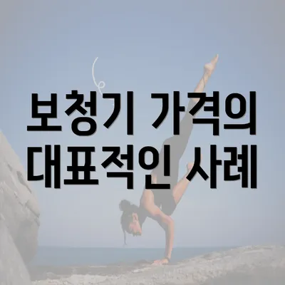 보청기 가격의 대표적인 사례