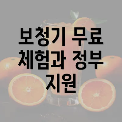 보청기 무료 체험과 정부 지원