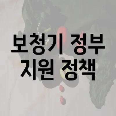 보청기 정부 지원 정책