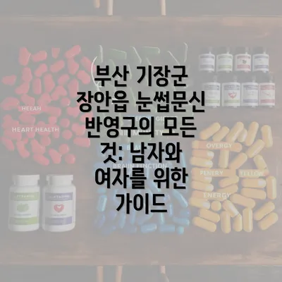 부산 기장군 장안읍 눈썹문신 반영구의 모든 것: 남자와 여자를 위한 가이드