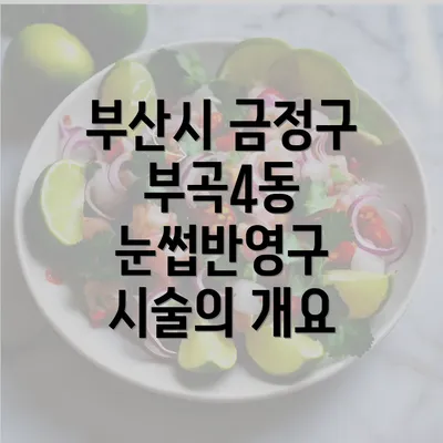 부산시 금정구 부곡4동 눈썹반영구 시술의 개요