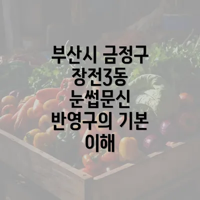 부산시 금정구 장전3동 눈썹문신 반영구의 기본 이해