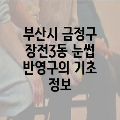 부산시 금정구 장전3동 눈썹 반영구 화장의 모든 것