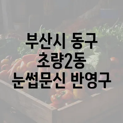 부산시 동구 초량2동 눈썹문신 반영구