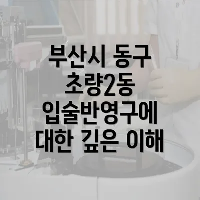 부산시 동구 초량2동 입술반영구에 대한 깊은 이해