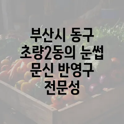 부산시 동구 초량2동의 눈썹 문신 반영구 전문성