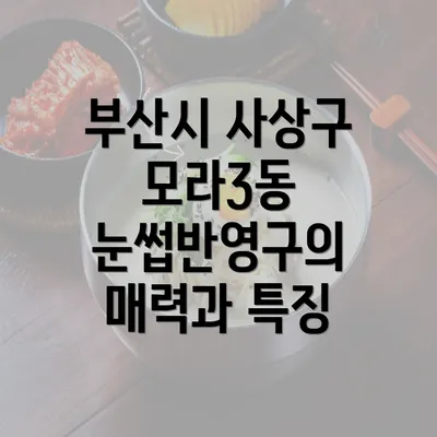 부산시 사상구 모라3동 눈썹반영구의 매력과 특징