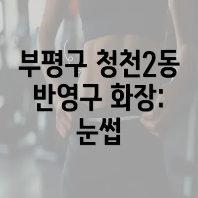 부평구 청천2동 반영구 화장: 눈썹